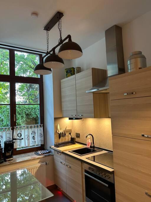 Ruhige Wohnung Im Fabrikstil In Кемниц Екстериор снимка