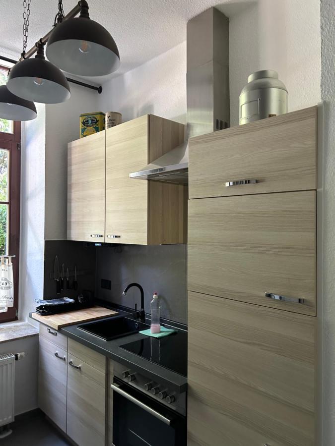 Ruhige Wohnung Im Fabrikstil In Кемниц Екстериор снимка