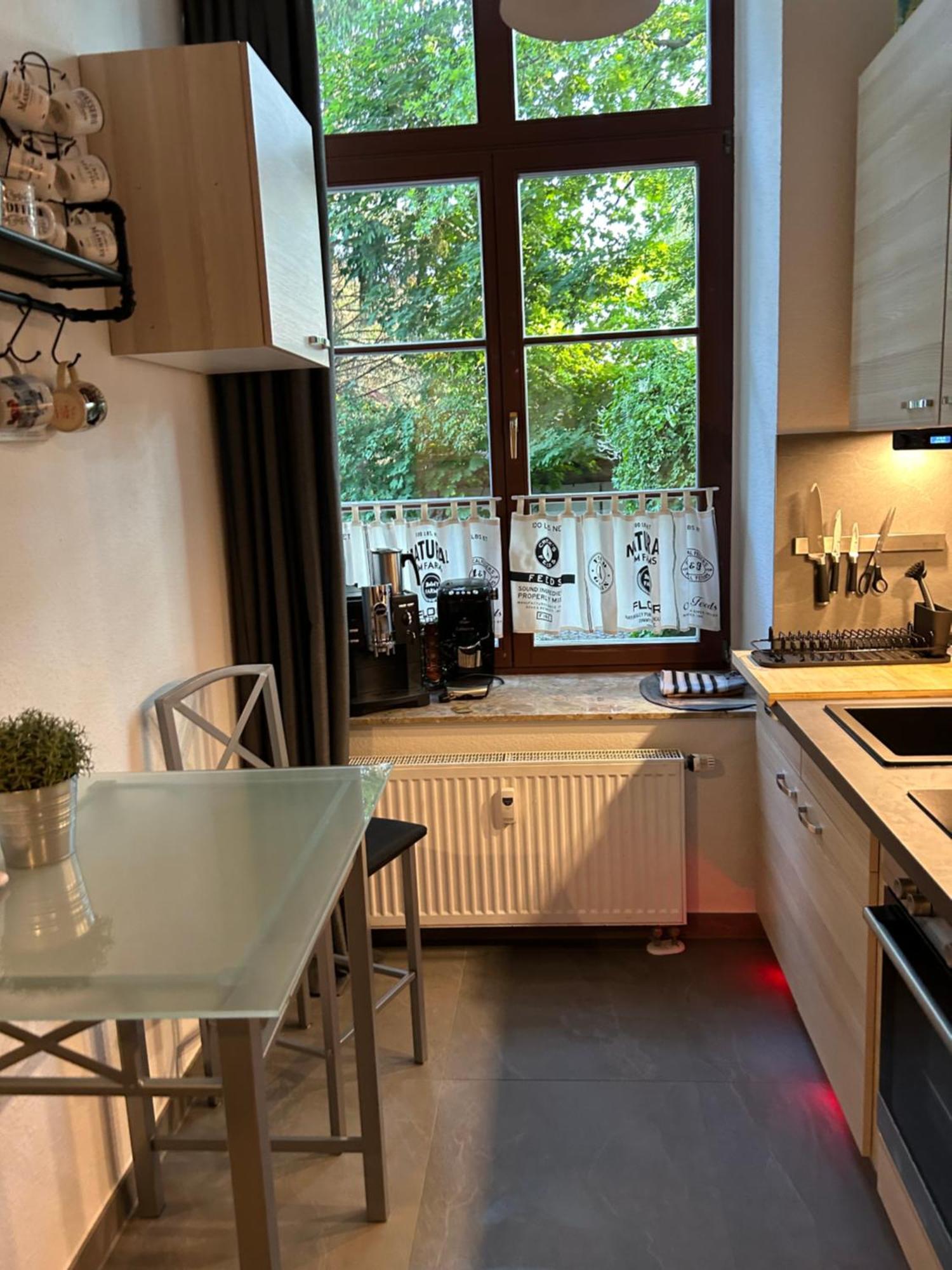 Ruhige Wohnung Im Fabrikstil In Кемниц Екстериор снимка